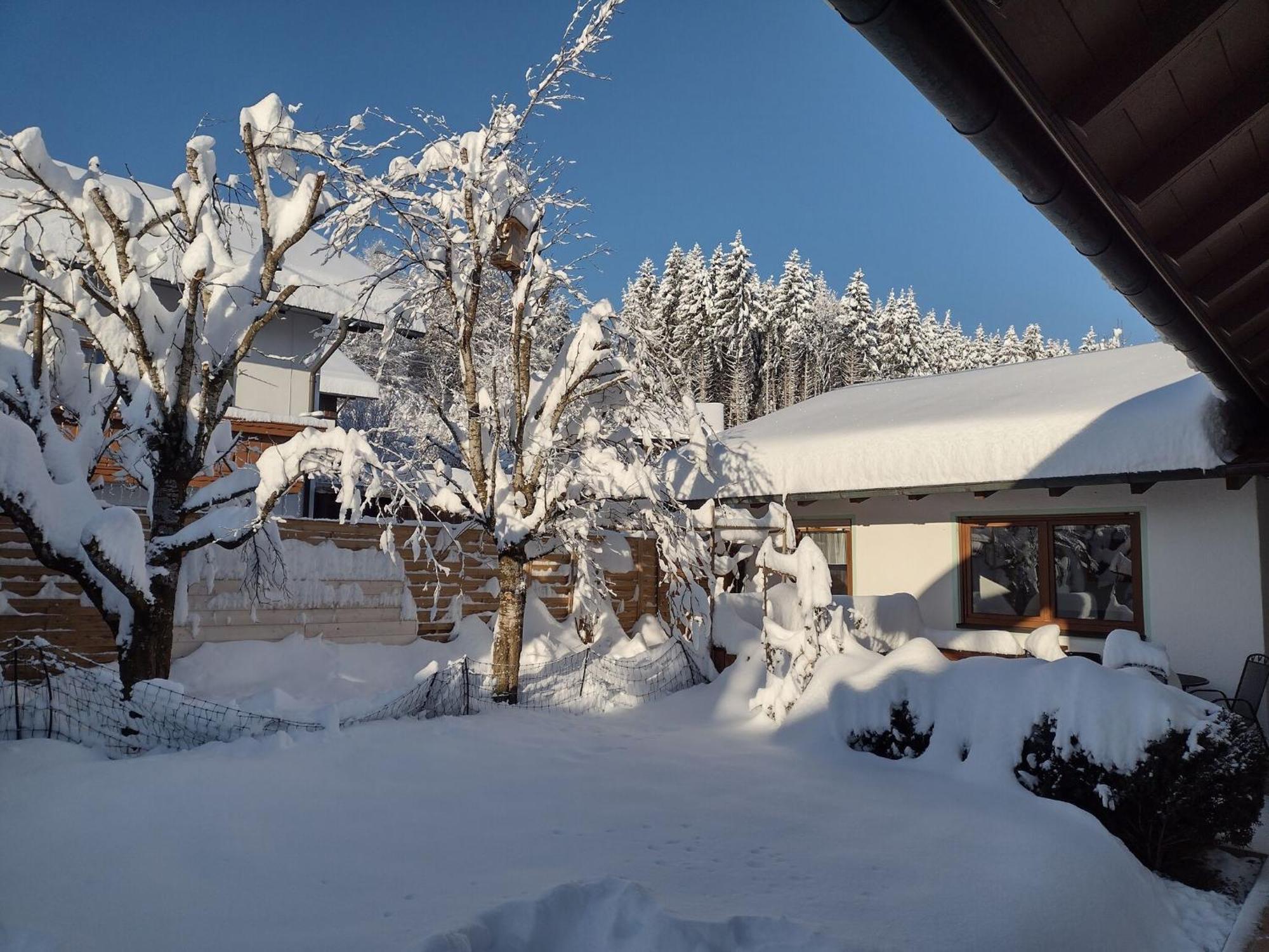Cosy Holiday Home With Sauna In The Allg U Burggen Kültér fotó